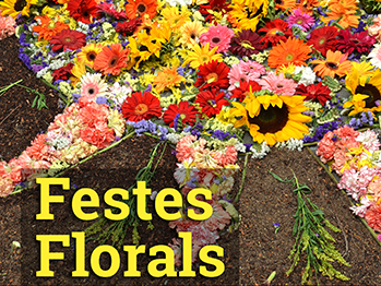 Festes florals