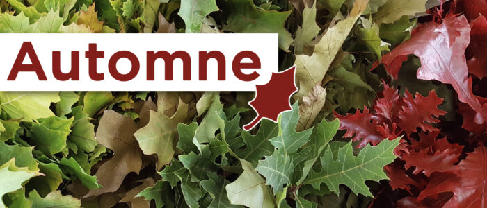 Banner tardor FR