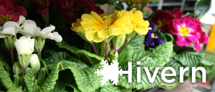 Hivern