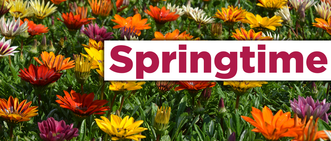 Springtime
